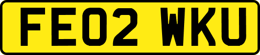 FE02WKU