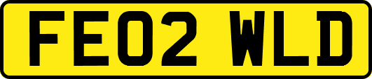FE02WLD