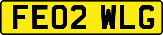 FE02WLG