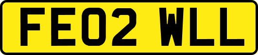 FE02WLL