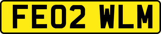FE02WLM
