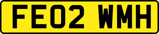FE02WMH