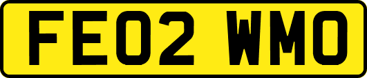 FE02WMO