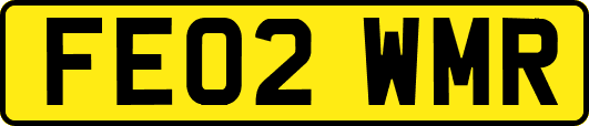 FE02WMR
