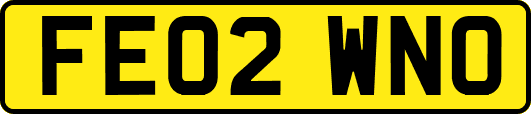 FE02WNO
