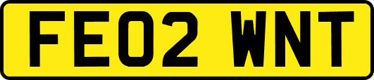 FE02WNT
