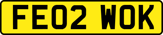FE02WOK