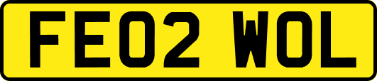 FE02WOL