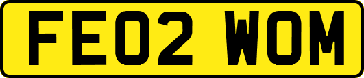 FE02WOM