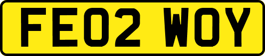 FE02WOY