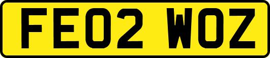FE02WOZ