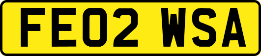 FE02WSA