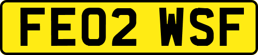 FE02WSF