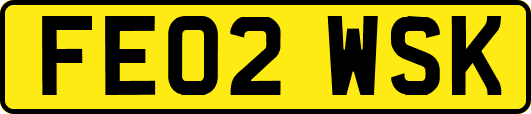 FE02WSK
