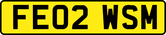 FE02WSM
