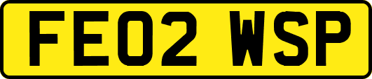 FE02WSP