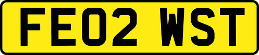 FE02WST
