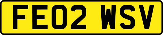 FE02WSV