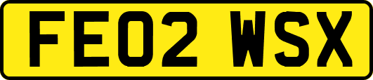 FE02WSX