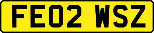FE02WSZ