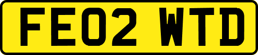 FE02WTD