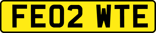FE02WTE
