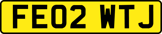 FE02WTJ