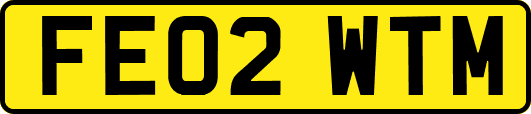 FE02WTM