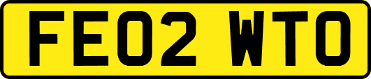 FE02WTO