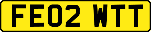 FE02WTT