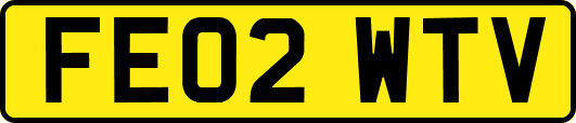 FE02WTV