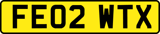 FE02WTX