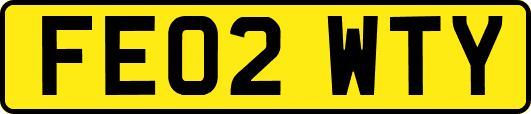 FE02WTY