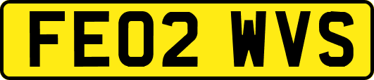 FE02WVS