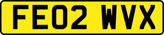 FE02WVX