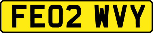 FE02WVY