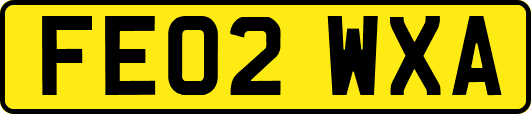 FE02WXA