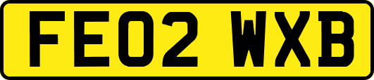 FE02WXB