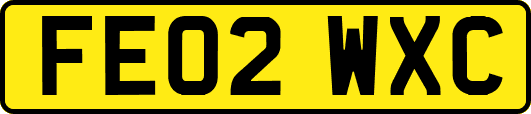 FE02WXC