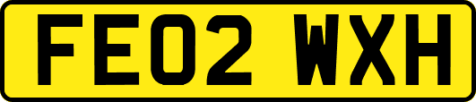 FE02WXH