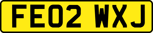 FE02WXJ
