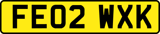 FE02WXK