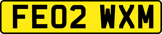 FE02WXM