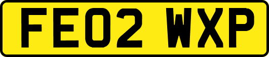 FE02WXP
