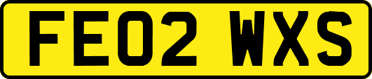 FE02WXS