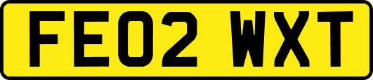 FE02WXT