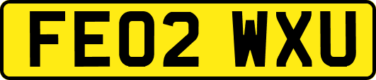 FE02WXU