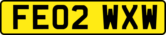 FE02WXW