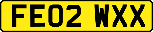 FE02WXX