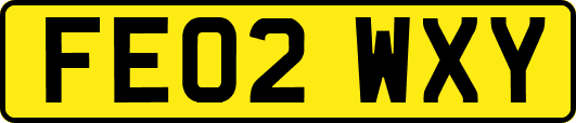 FE02WXY